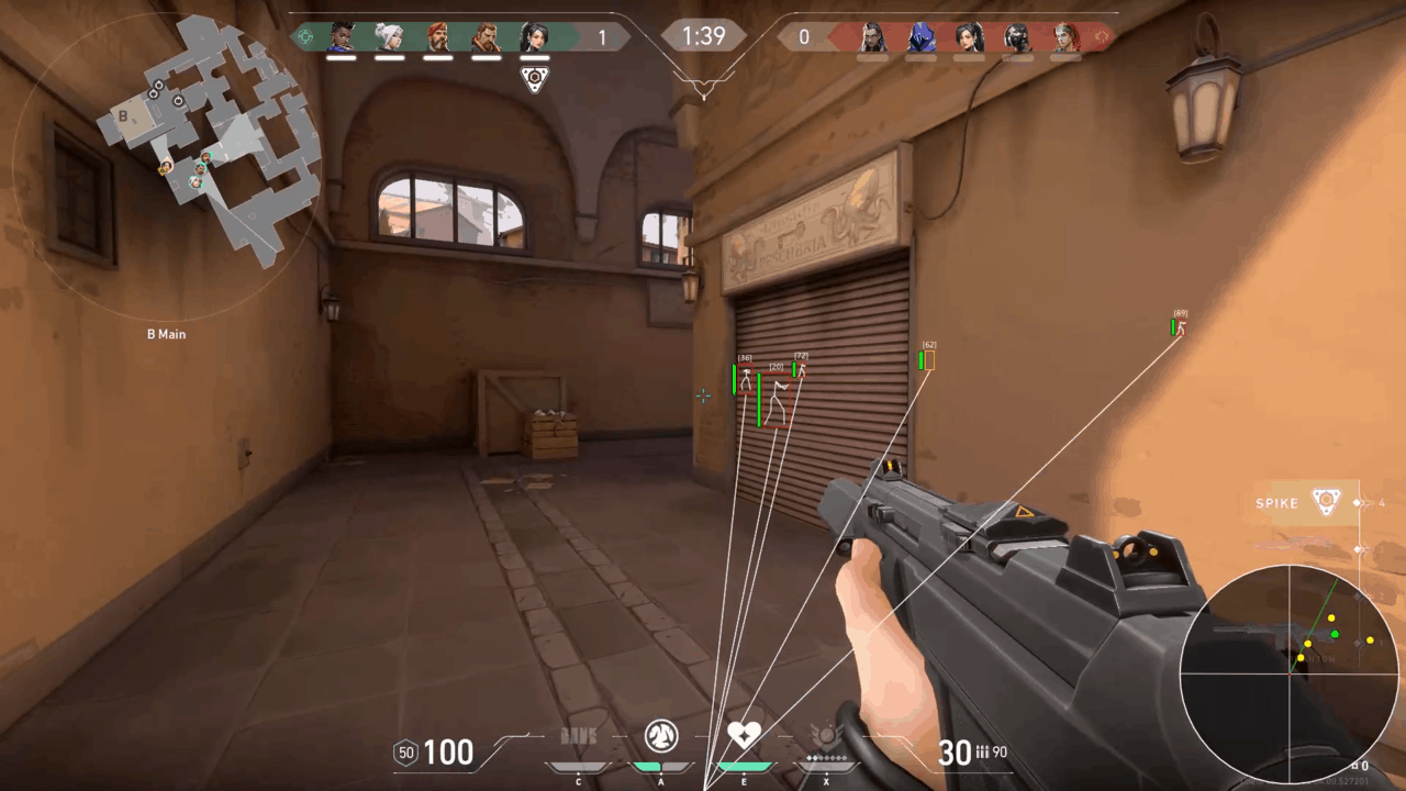 Valorant Cheat Profiles