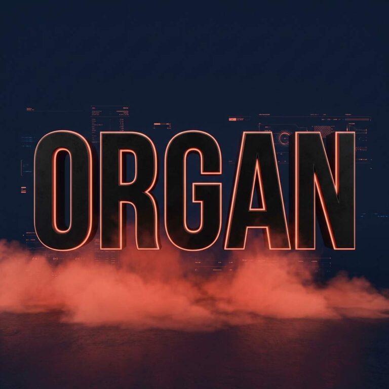 The First Descendant: Organ Hack
